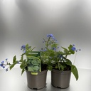 Weekaanbod foto 1