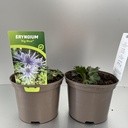 Weekaanbod foto 1