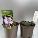 Weekaanbod foto 1