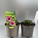 Weekaanbod foto 1