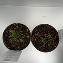 Weekaanbod foto 2