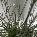Weekaanbod foto 2