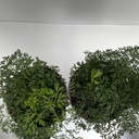 Weekaanbod foto 2