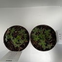 Weekaanbod foto 2