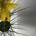 Weekaanbod foto 2