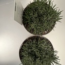 Weekaanbod foto 2