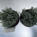 Weekaanbod foto 2