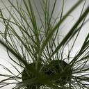 Weekaanbod foto 2