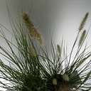 Weekaanbod foto 2
