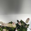 Weekaanbod foto 2