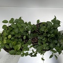 Weekaanbod foto 2
