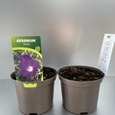 Weekaanbod foto 1