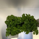 Weekaanbod foto 2