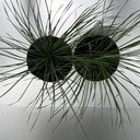 Weekaanbod foto 2