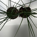 Weekaanbod foto 2