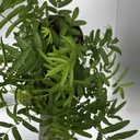 Weekaanbod foto 2