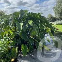 20260920_141804_03510.webp