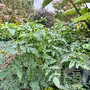 20261007_161937_03664.webp