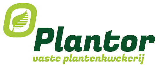 Plantor
